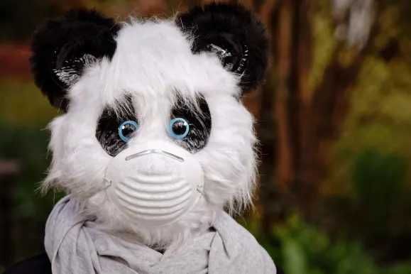 بيايتي9 كازينو الدعم